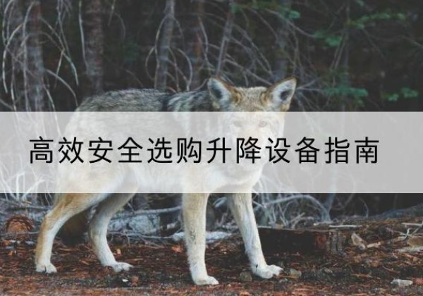 湘阴升降货梯厂家推荐-*安全选购升降设备指南