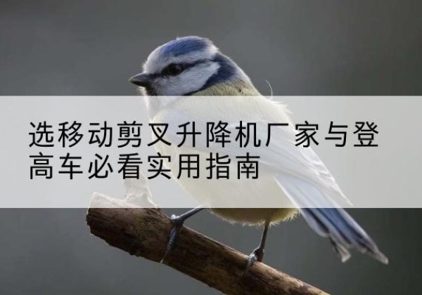 湘阴电动升降机厂家-选移动剪叉升降机厂家与登高车必看实用指南