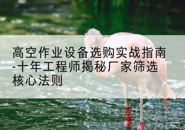 湘阴剪叉式升降机厂家-高空作业设备选购实战指南-十年工程师揭秘厂家筛选核心法则
